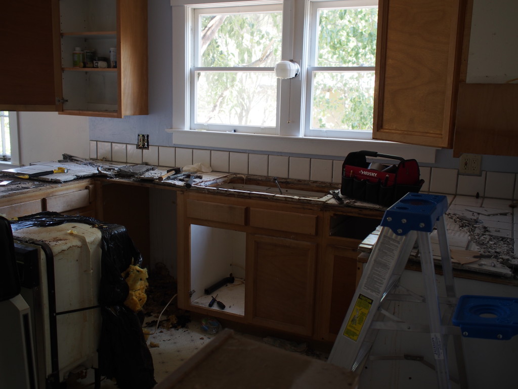 The sink and the dishwasher were next...